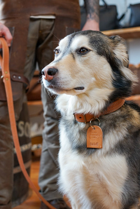 Leather Dog Leash Handmade 